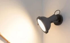 Applique Projecteur 165