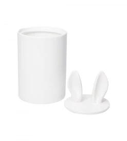 Décoration D'intérieur -Décoration D'intérieur container decoratif curiosity 1