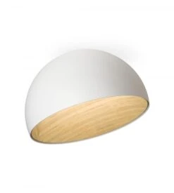 Plafonnier Duo - 4876 5 Plafonnier Duo - 4876 -Décoration D'intérieur plafonnier duo 4876 1